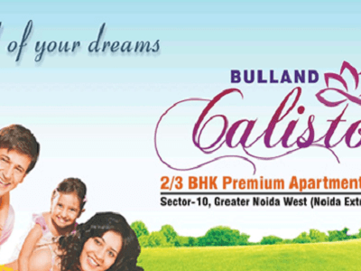 bulland calisto image